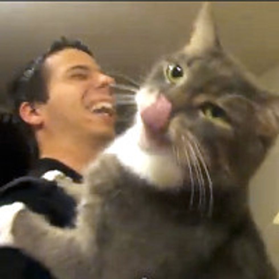 Kitty Licks When You Scratch His Back