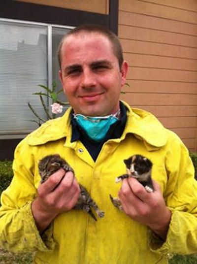 Firefighters Rescue Trapped Kittens From Wall & Find Them Temporary ...