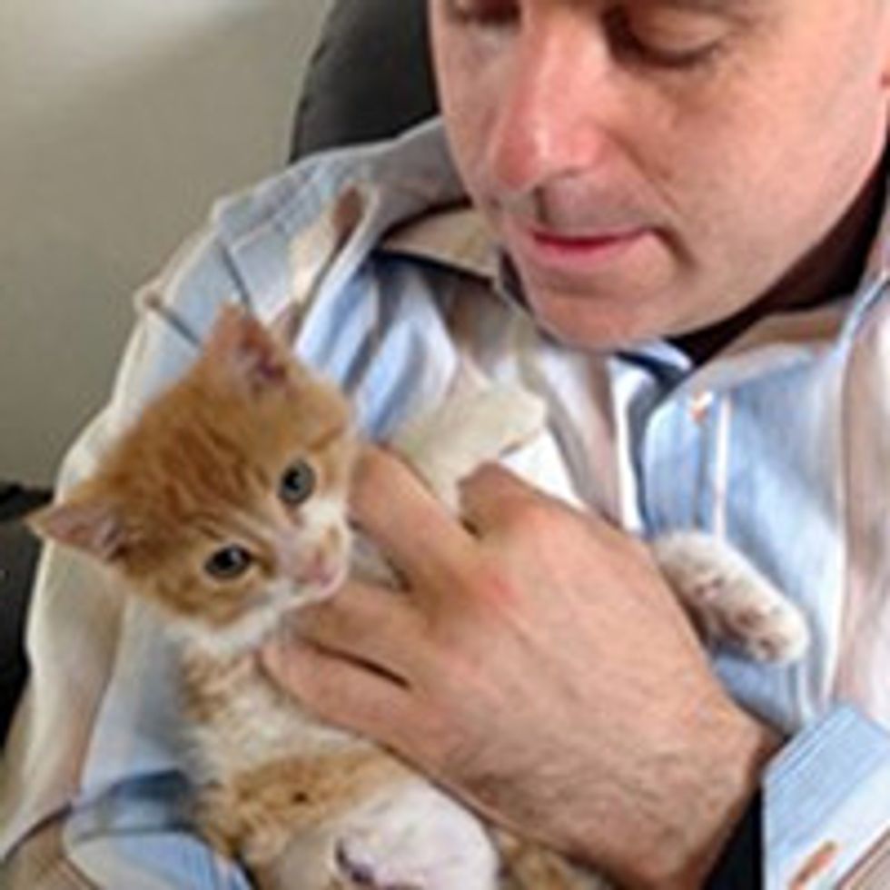 Borden Technician Rescues 3-Legged Kitten