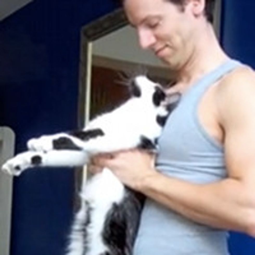 Yoga with Cats