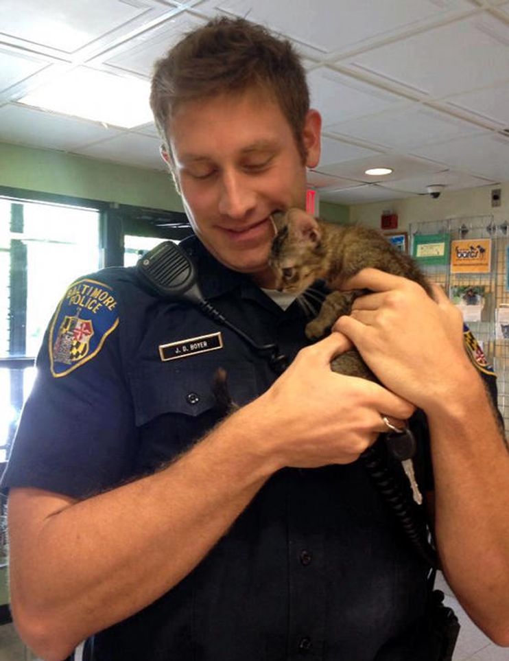 Stray Kitten Finds Police Officer To Go Home To - Love Meow