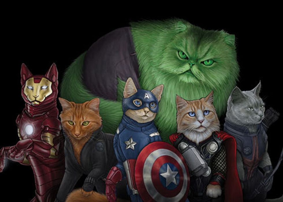 Cat Supurrheroes