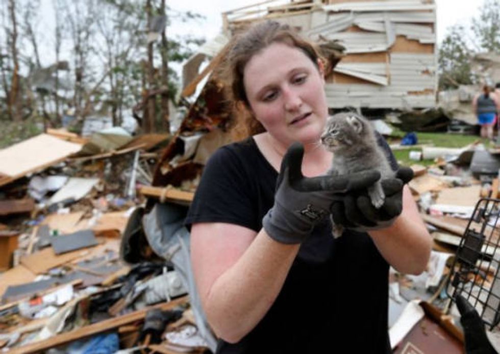 Kitten Rescued From Under Rubble After Huge Tornado - Love Meow