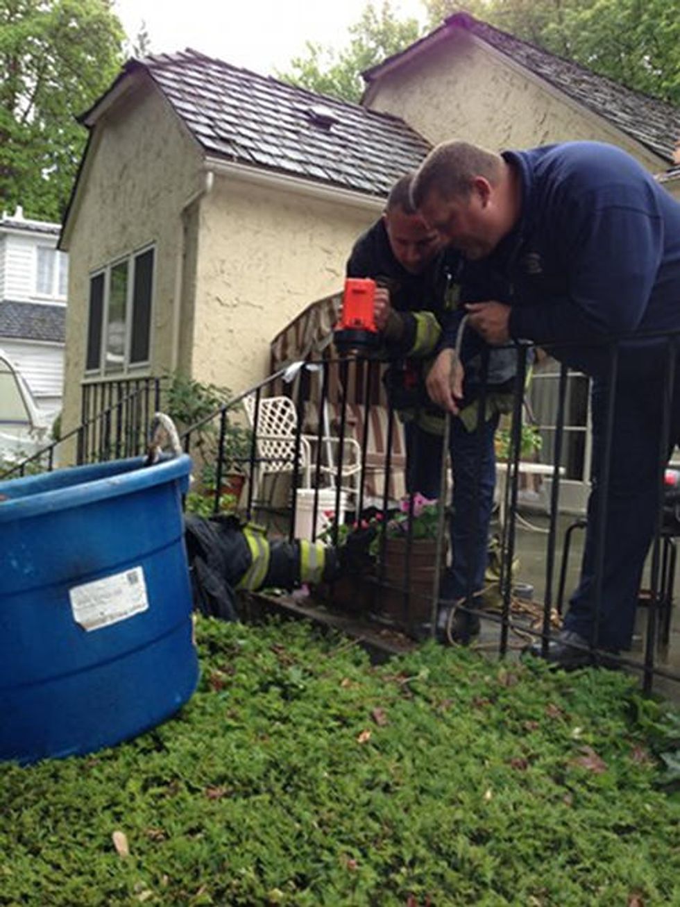 Missing Siamese Cat Saved From 25-foot Hole By Yakima Firefighters ...