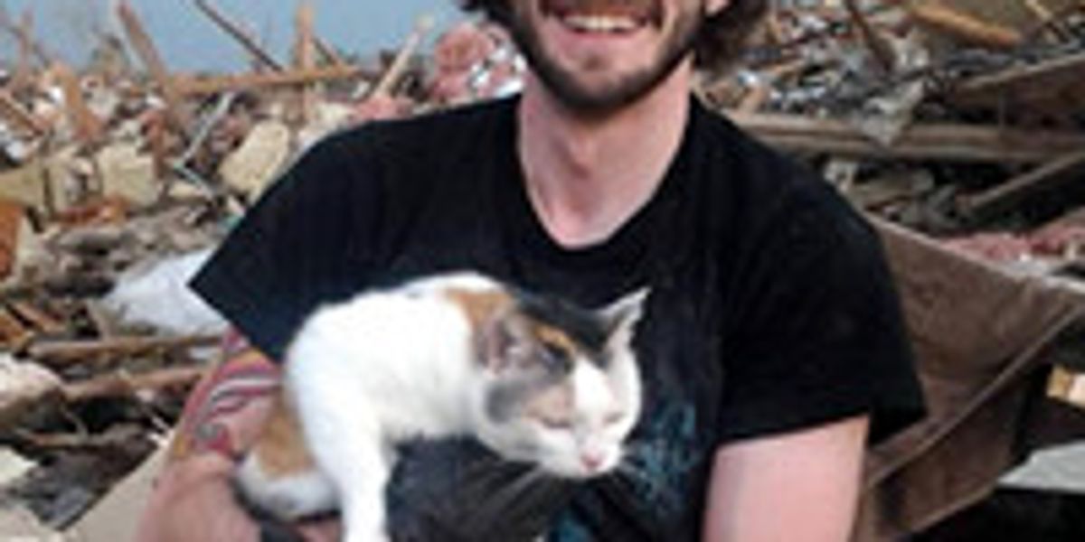 Cat Who Survived Tornado Is Found Sitting on Pillow Amongst Debris