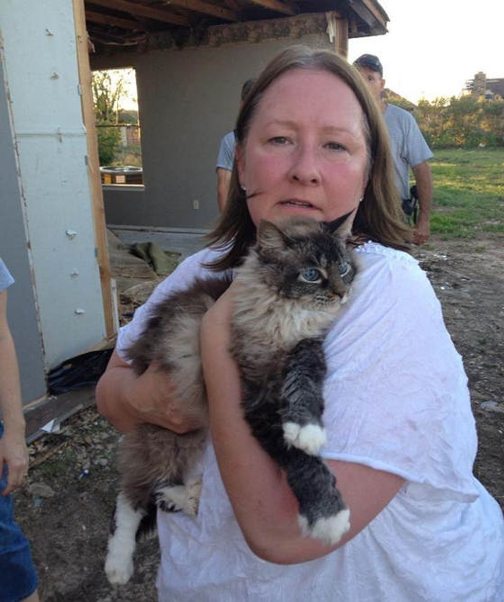 Cat Found Alive Inside Wall Of Destroyed Home 3 Weeks After Moore Tornado