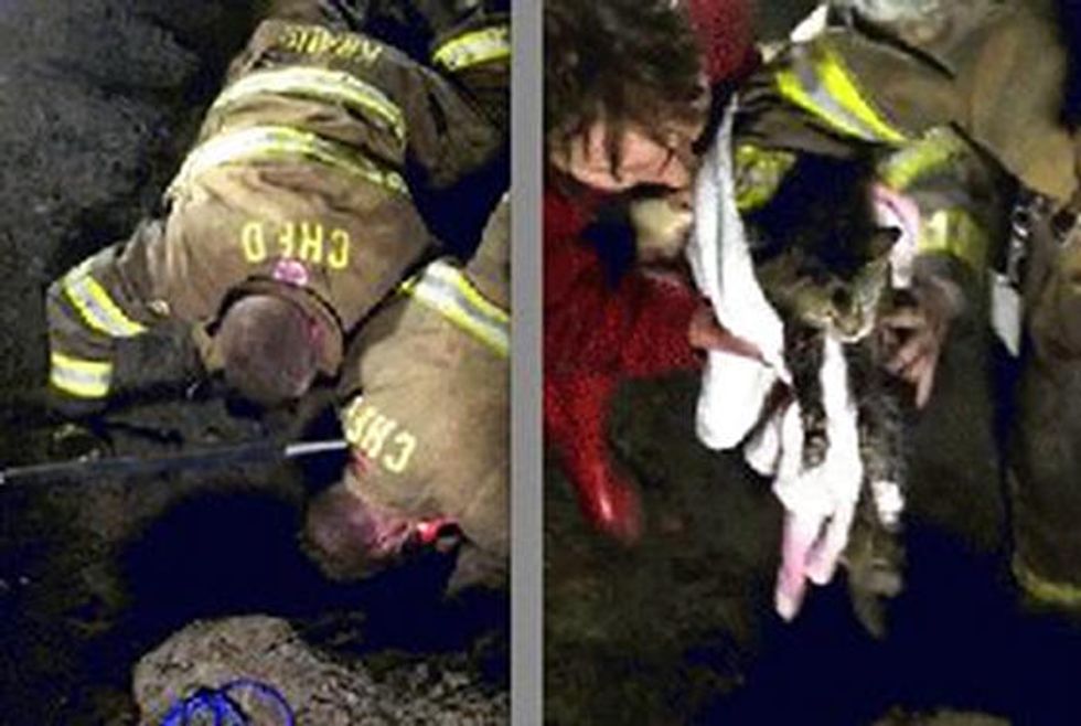 Three Hour Rescue: Cat Trapped Underground Saved By Firefighters
