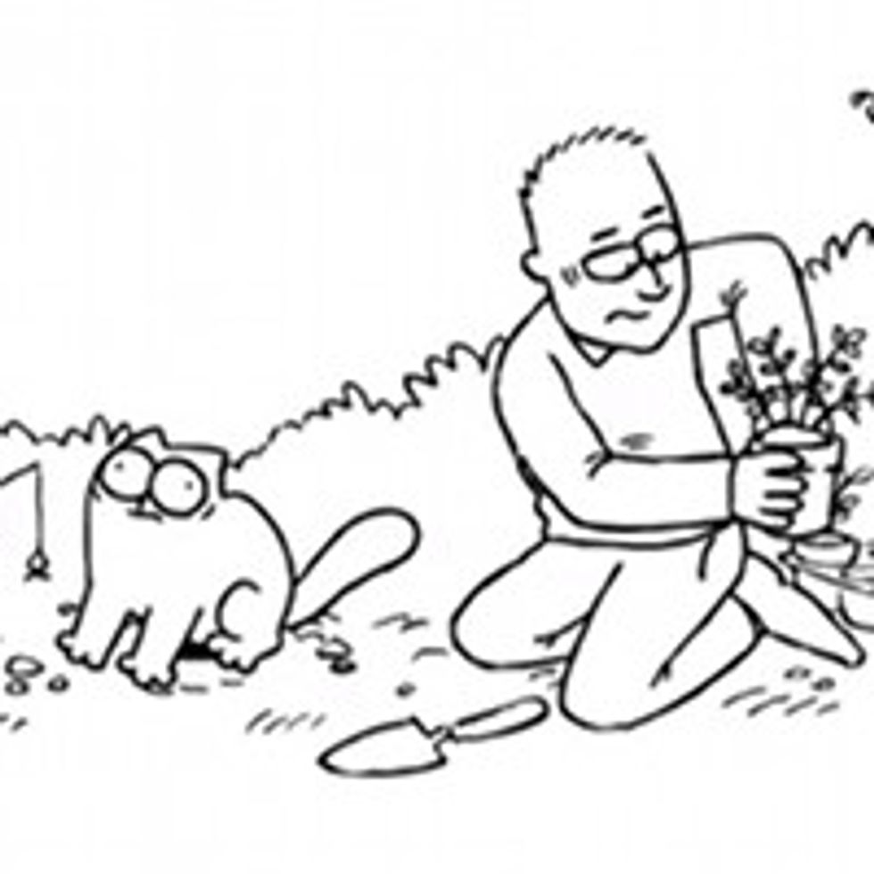 Flower Bed - Simon's Cat