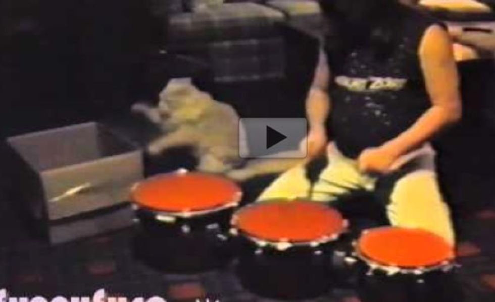 Cat Percussionist Plays 'Drum' with His Human