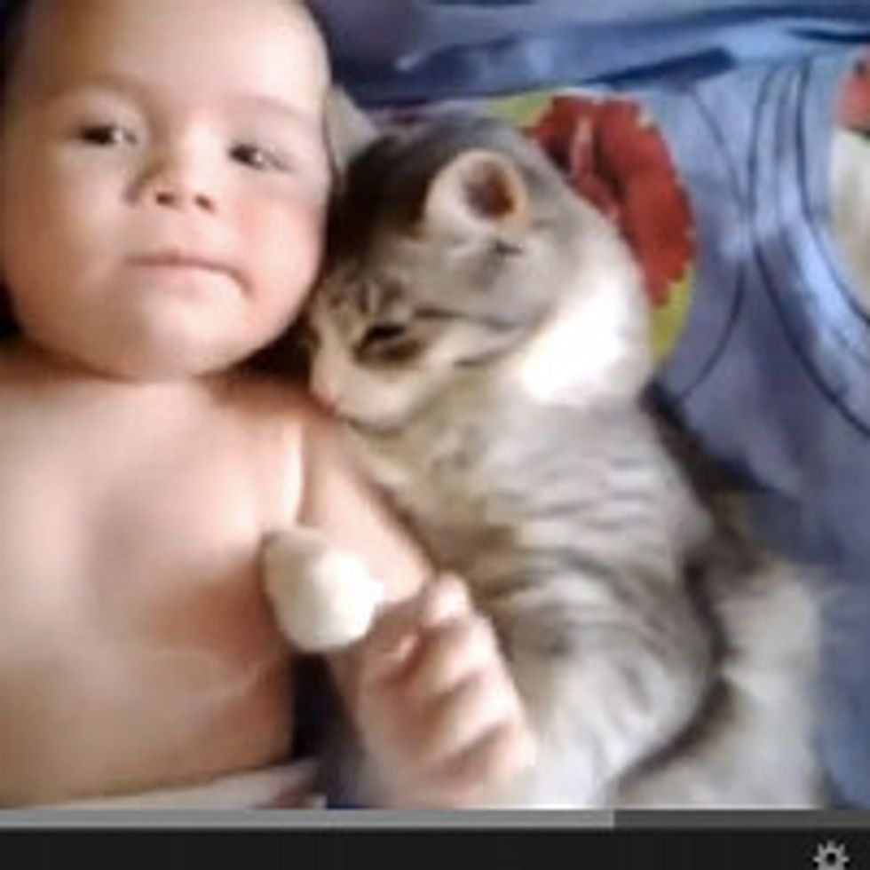 Cat Loves Baby
