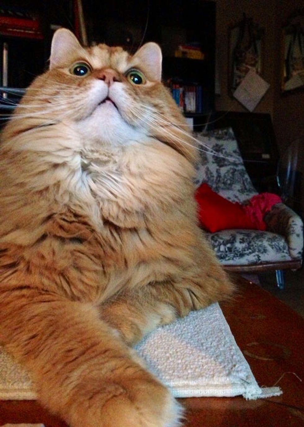 "My Laptop Snaps A Photo Of The Person That Wakes Up My Computer"