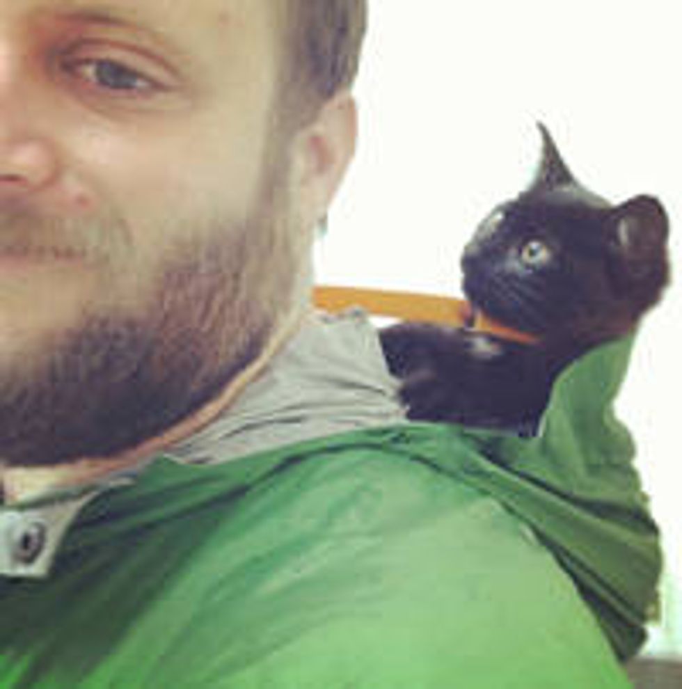 Man Saves Kitten From The Woods And Gives Him A Home