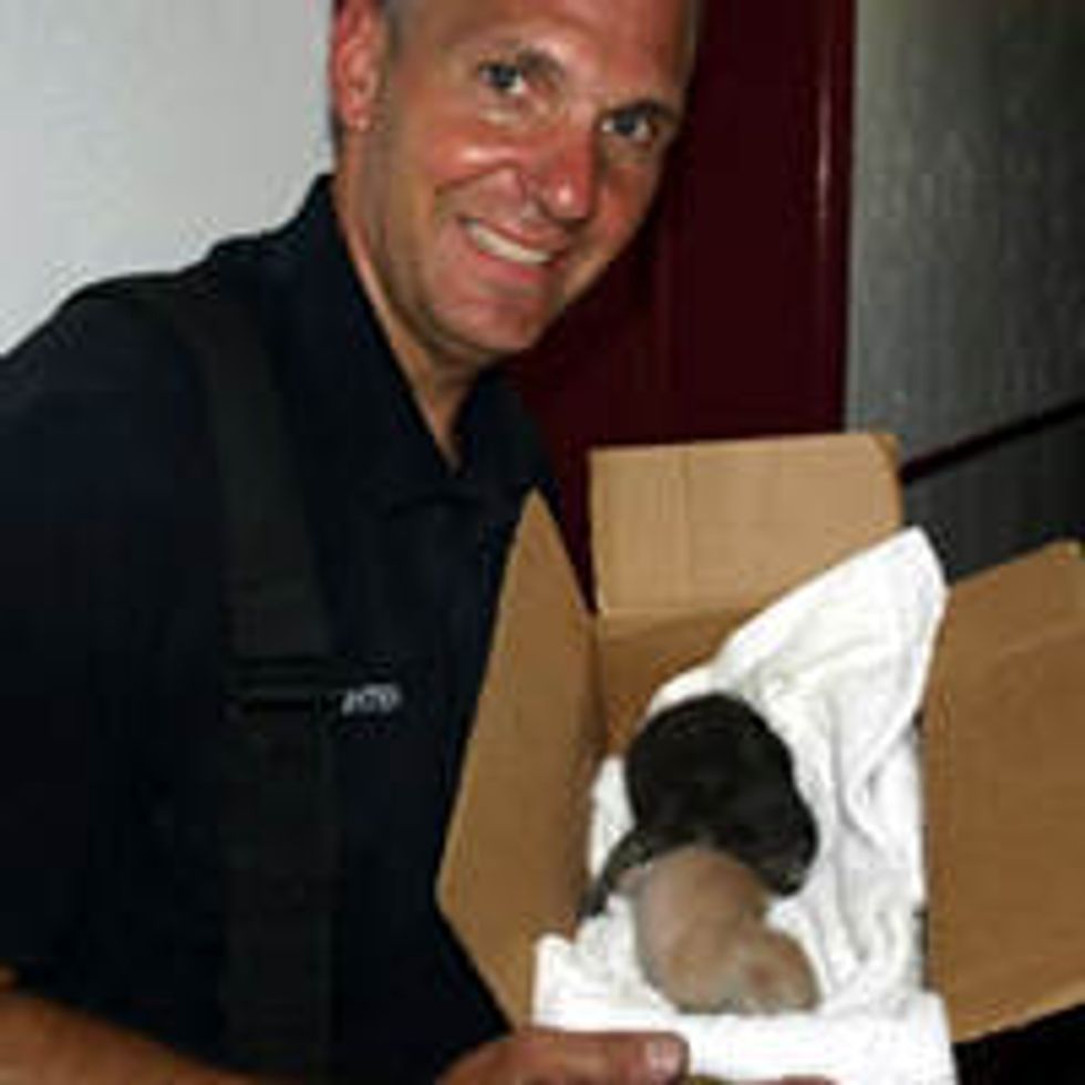 Kittens Born During House Fire Saved By Firefighters