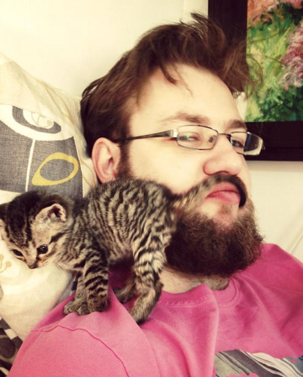 Kitty Gives Human Dad Accidental Kittystache