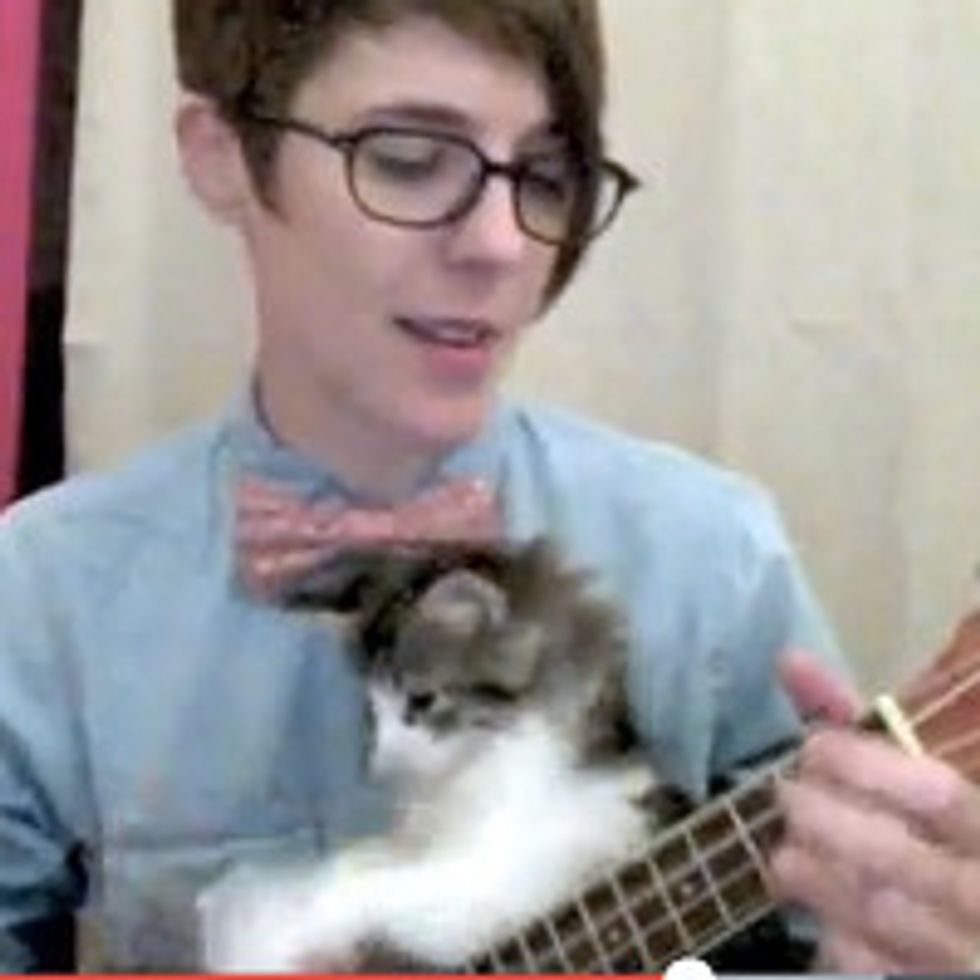 Foster Kitten Helps Play Nerdy Love Song