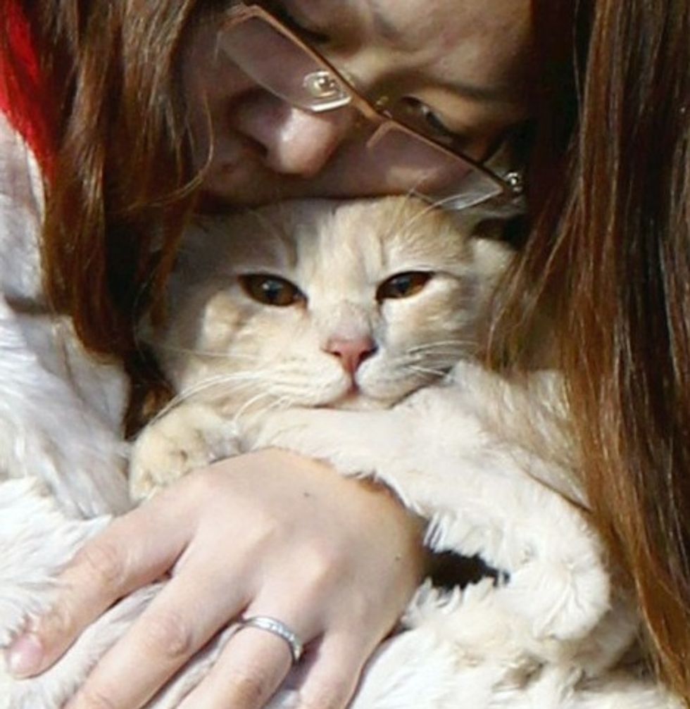 Woman Holds Beloved Cat at Evacuation Center in Fukushima