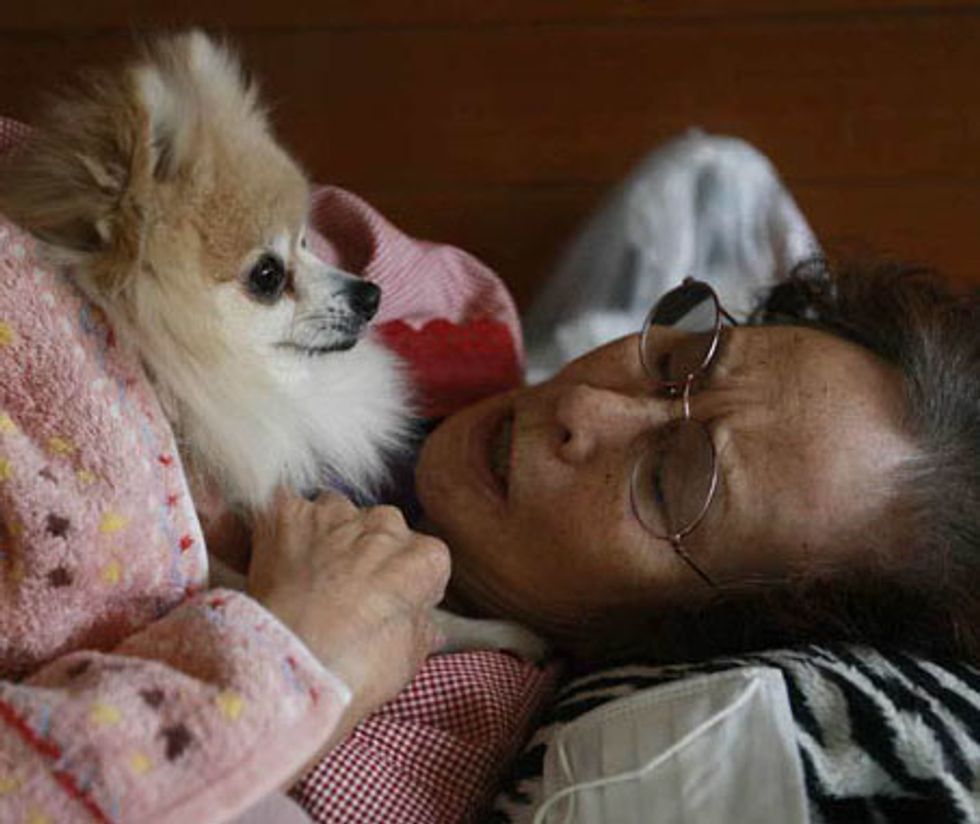 23 Photos of Dogs and Owners Sticking Together After Devastating Earthquake and Tsunami