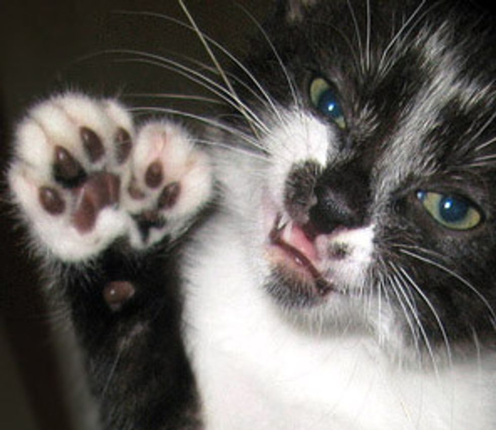 Celebrate the Toes!