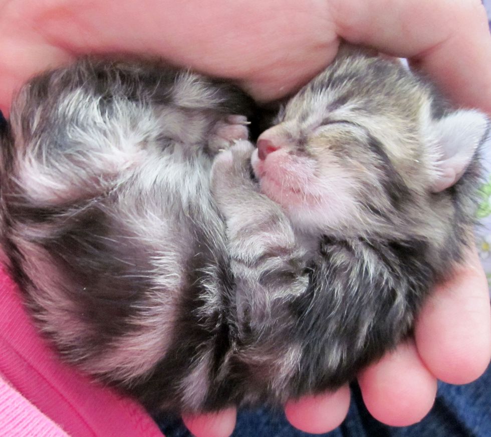 Little Bundle of Joy