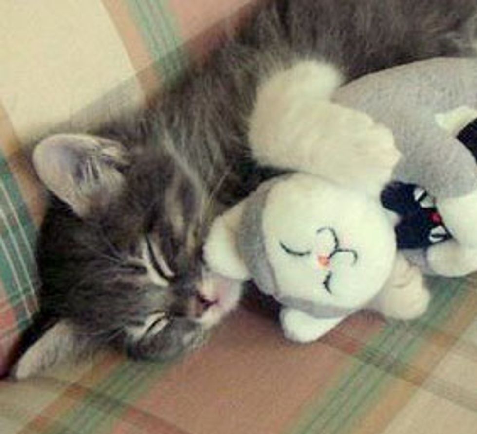 To Be Loved