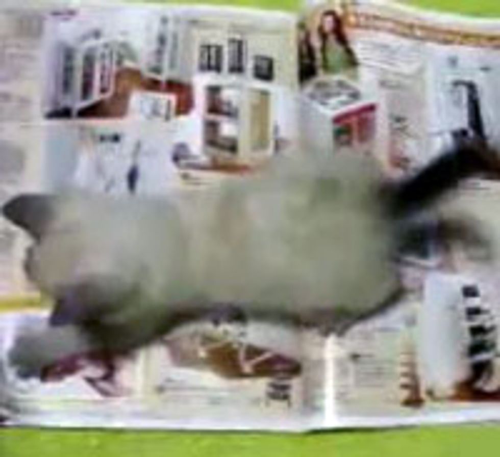 Kitty Stops Page Turning