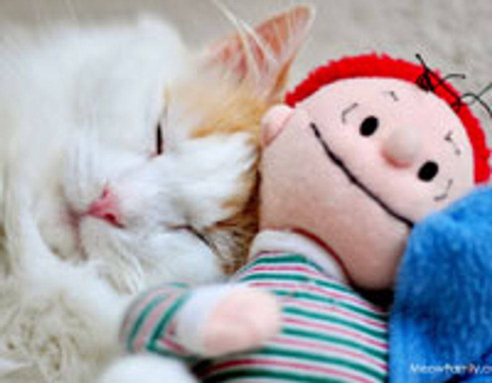 Snuggle Buddies