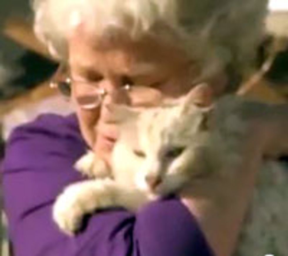 Missing Cat Shows Up During TV Interview Weeks After Tornado