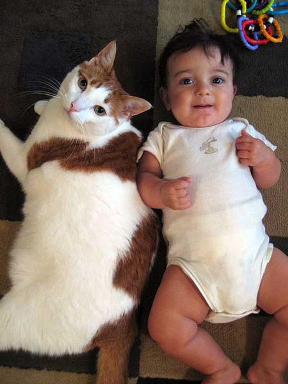 friendship-from-birth-kitty-baby-love-meow