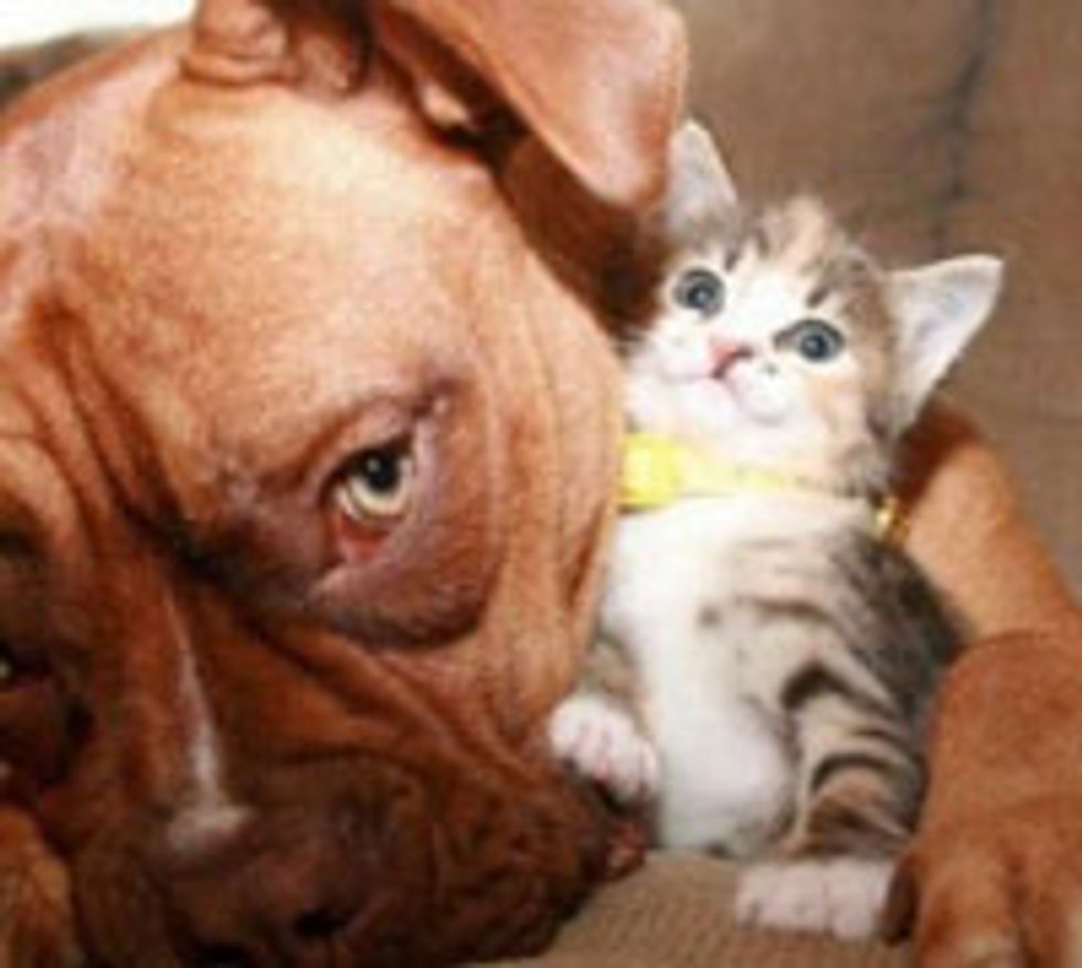 You are My BFF!