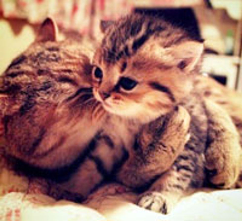 Unconditional Love