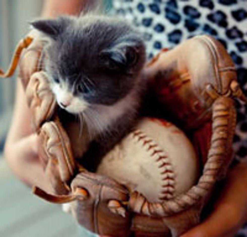 Little White Mitten Kitty Found Bliss