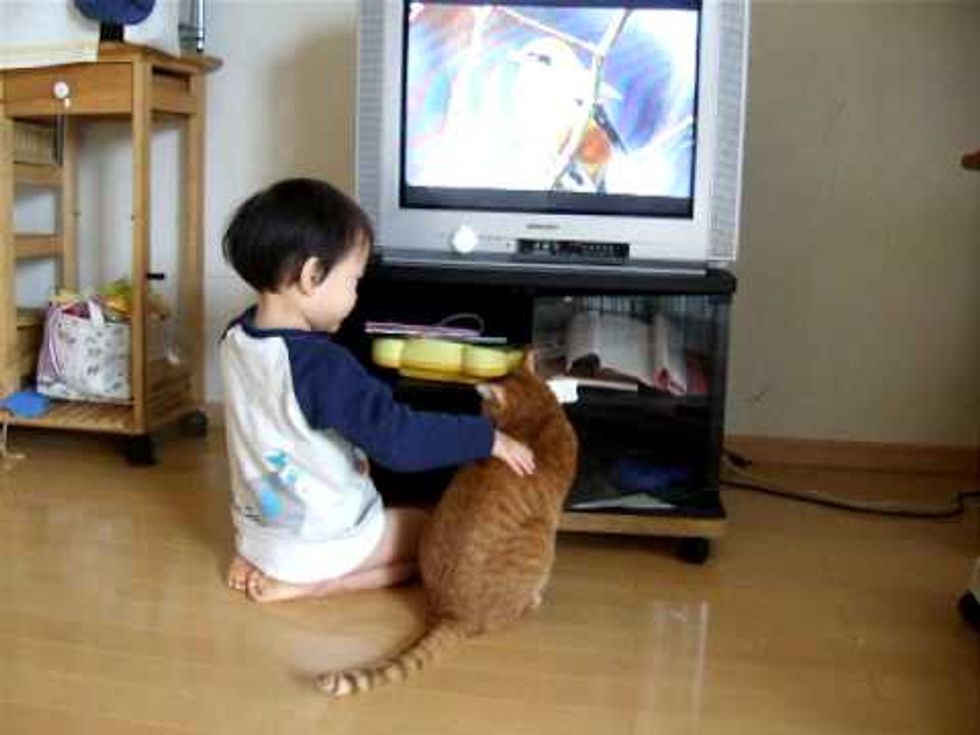 Kitty Shares TV with Little Toddler