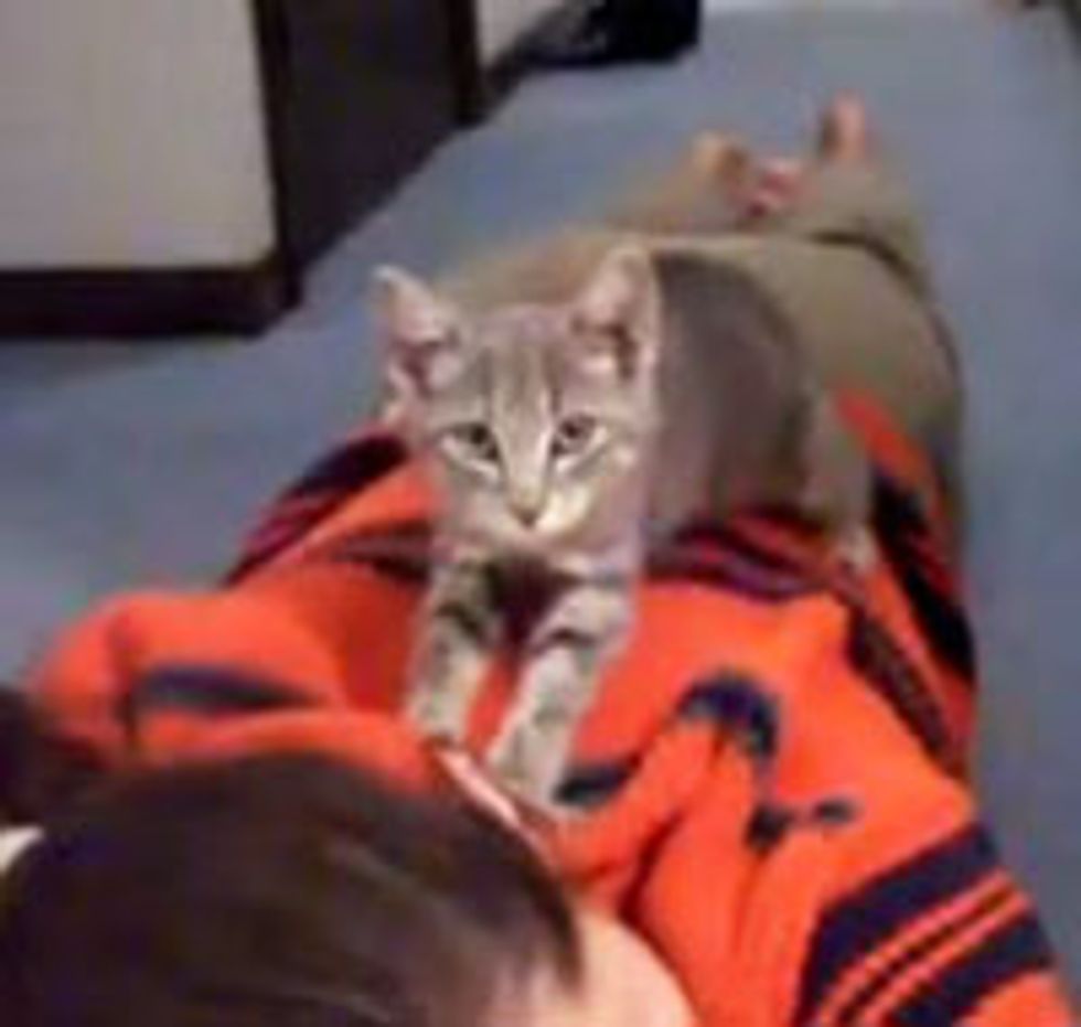Kitty Massage