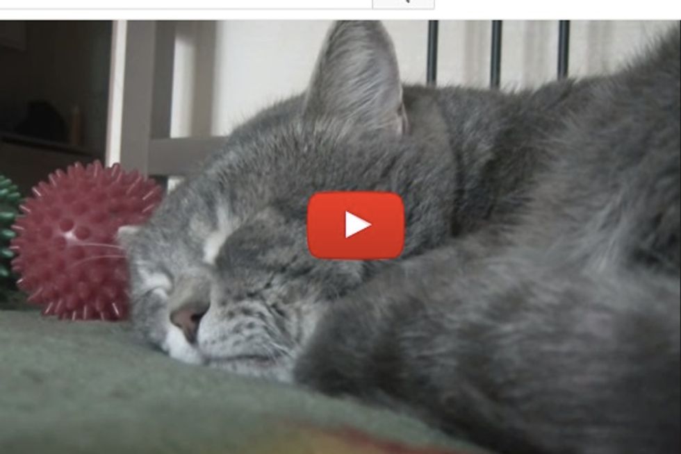 'When I cough, my cat quacks'