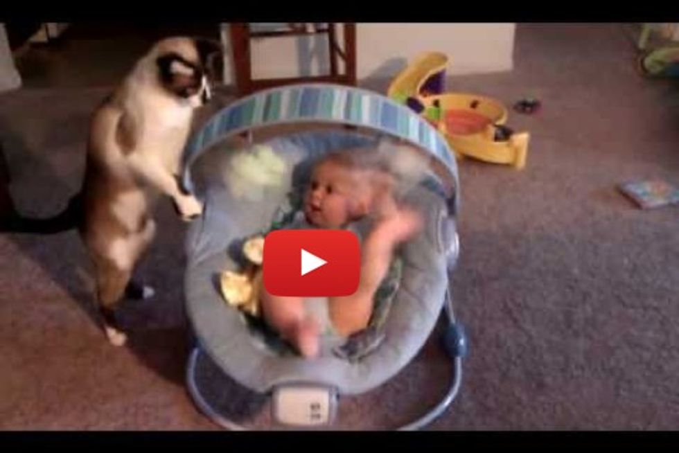 Cat Makes Baby Laugh While He Plays With Toys