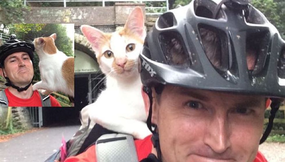 Cat Greets Cyclist By Climbing On His Backpack