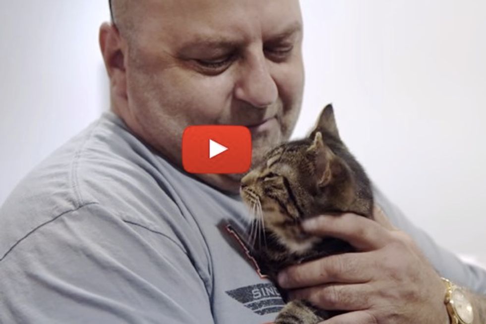 Man Finds The Purrfect Gift For His Birthday