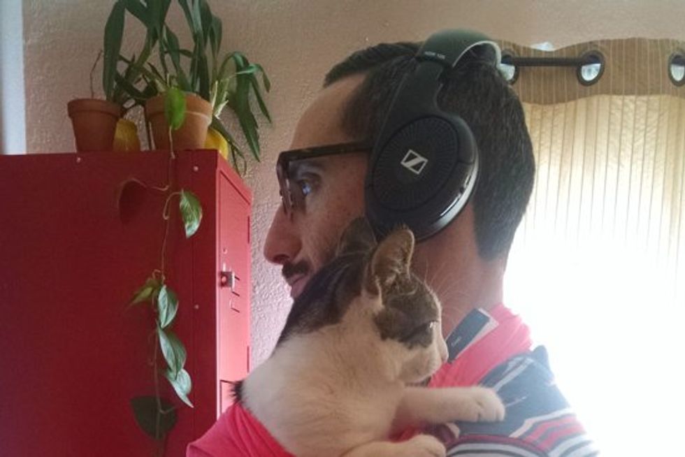 Man Comes Up With Idea To Snuggle His Affectionate Cat During Work