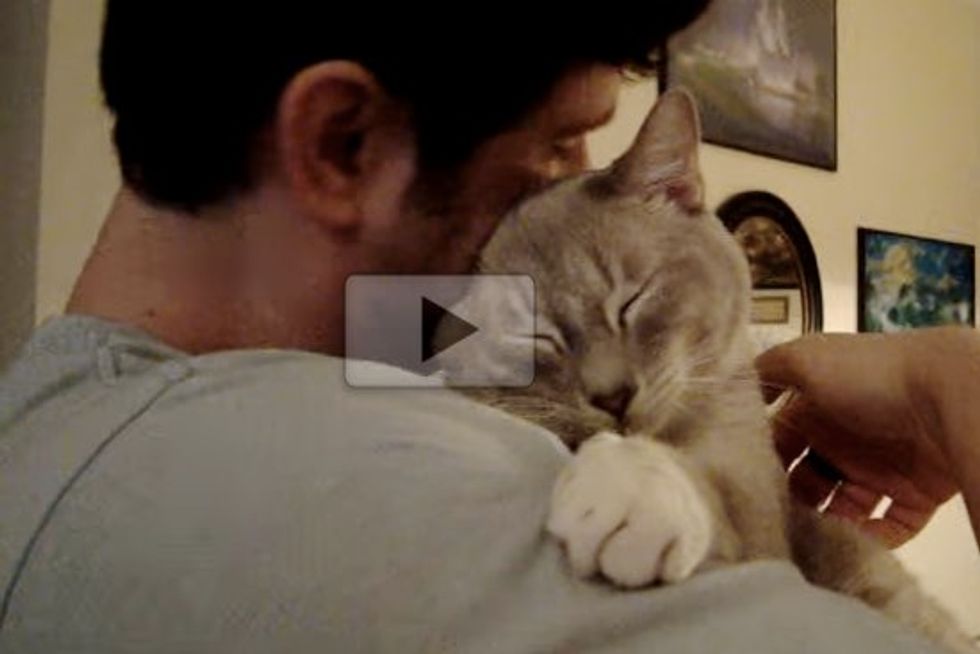 Cat Loves Getting Hugs From His Favorite Person