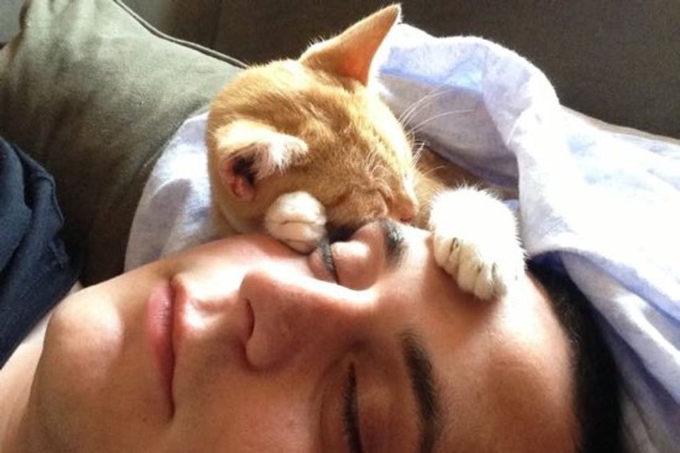 Cat Found At Gas Station Cuddles With His Rescuer