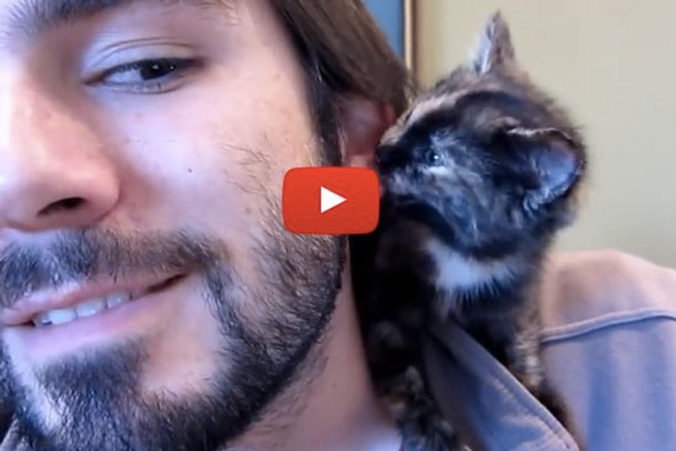Kitty Kisses
