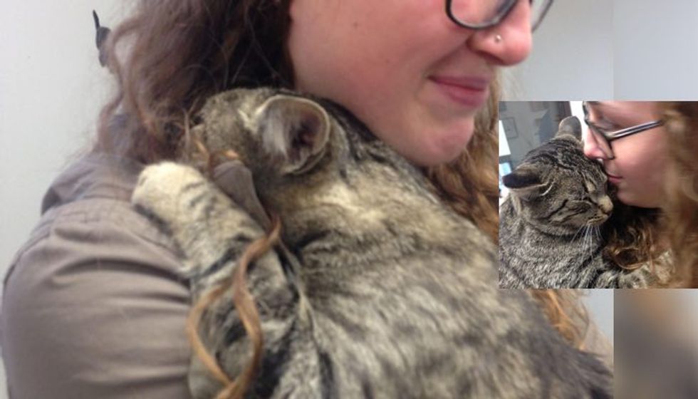 Shelter Cat Gives Volunteer the Biggest Hug and Won't Let Go...