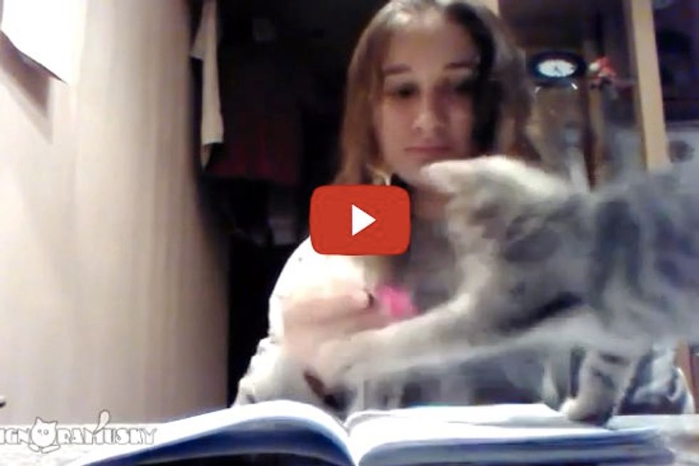 Doing Homework With Cat Around