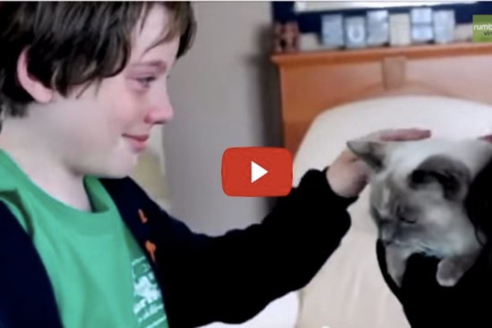 Kids cry tears of joy after mom finds missing cat