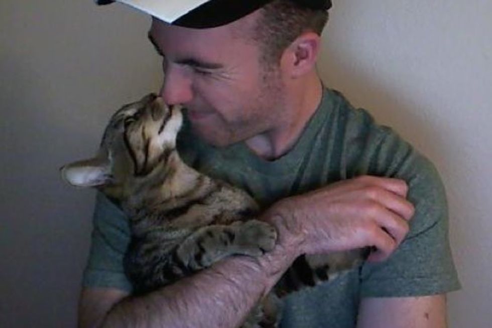 Man's Best Friend, Icarus the Tabby