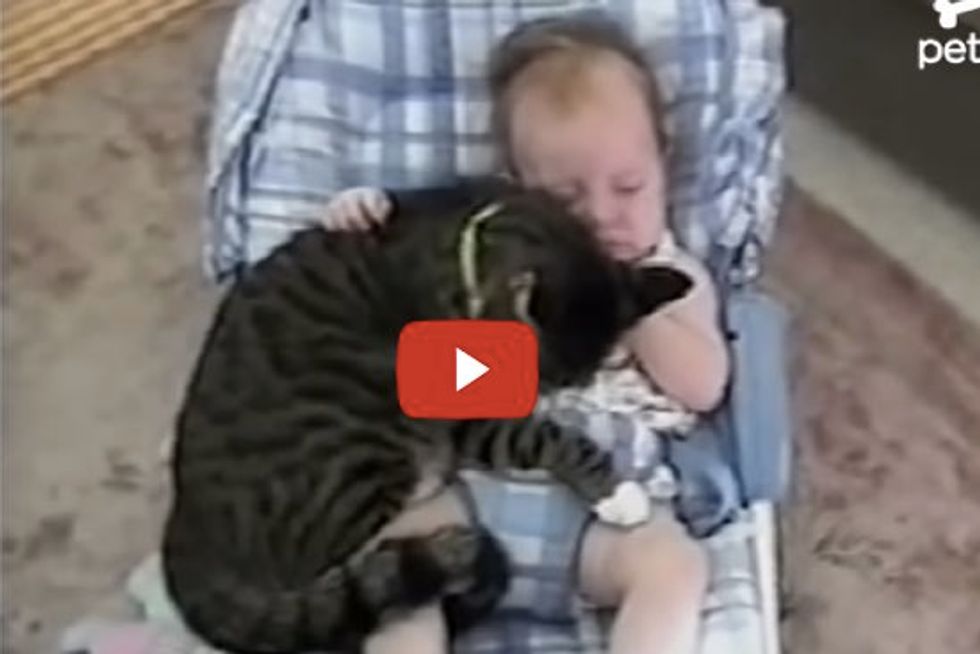 Baby and Cat Cuddle in Crib