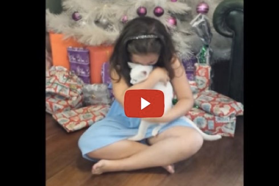 Little Girl's Reaction When Told She Can Keep Her Foster Kitten - Get Your Tissues Ready!