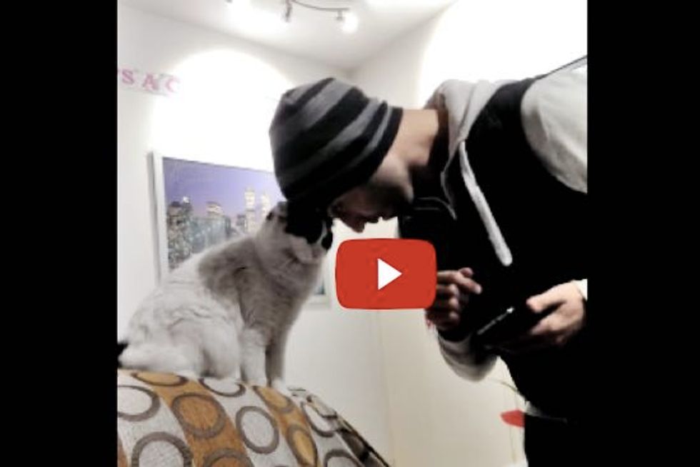 Cat Trains Human for Headbumps