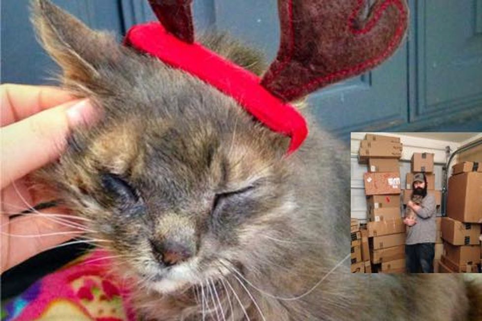 Blind And Deaf Reindeer Cat Gets Love And Gifts This New Year!