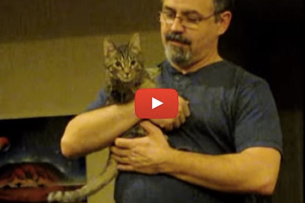Mercury the 2 Legged Cat Demands Love and Cuddles When His Dad Gets Home from Work